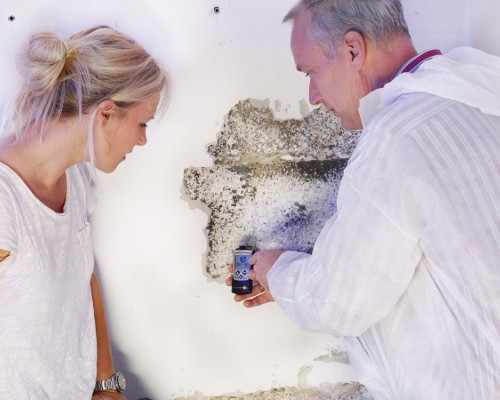 Termite Control Sydney