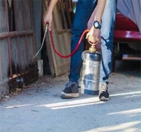 Why Moisture Is the Number One Termite Risk Factor in Sydney Homes