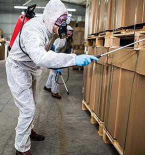 Subfloor Inspections in Federation and Interwar Homes — What a Sydney Pest Inspector Actually Looks For
