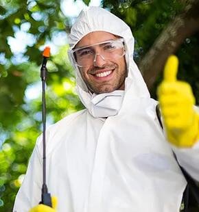 How Termite Treatment Works