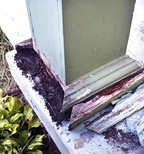 Termite Management Plans Explained — What They Are and When You Need One