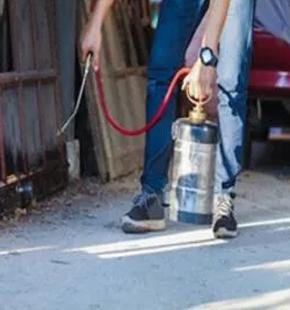 Annual Termite Inspections — What's Actually Checked and Why It Matters