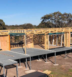 Pre-Purchase Termite Inspections — the Difference Between a Thorough Job and a Tick-Box