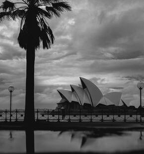 Federation Homes and Termites - What Sydney Owners of Older Houses Need to Know